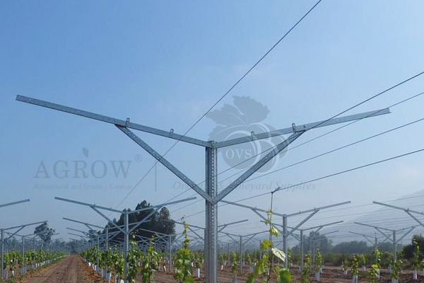 Lapos Gable Trellis Crossarm