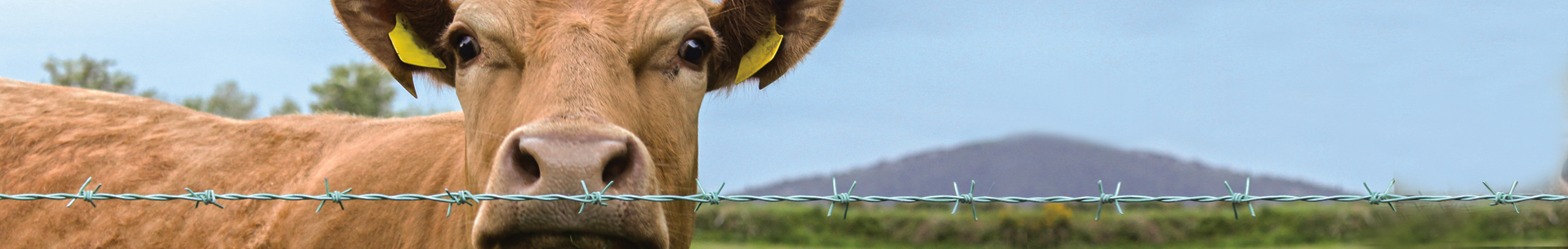 Agrow Farm fence supplies (FRS)