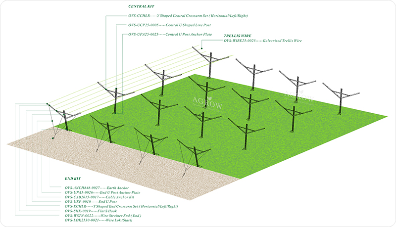 Vineyard Open Gable Trellis rendszer -AGROW-AGTEK.jpg