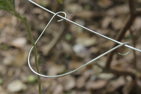 Clip a Vertical Line Post.jpg f&aacute;jlhoz